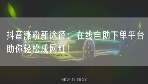 抖音涨粉新途径：在线自助下单平台助你轻松成网红！
