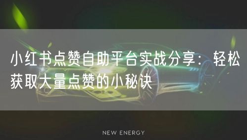 小红书点赞自助平台实战分享：轻松获取大量点赞的小秘诀
