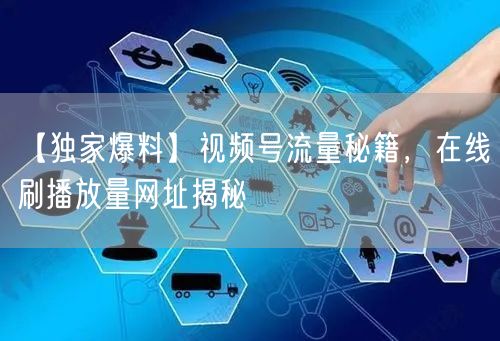 【独家爆料】视频号流量秘籍，在线刷播放量网址揭秘