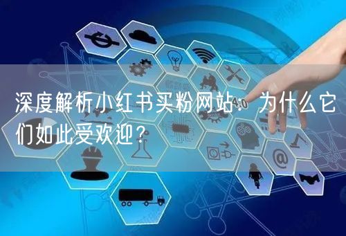 深度解析小红书买粉网站:为什么它们如此受欢迎?