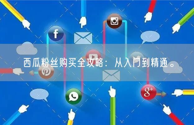 西瓜粉丝购买全攻略：从入门到精通。