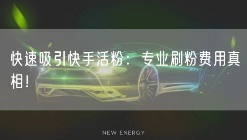 快速吸引快手活粉：专业刷粉费用真相！