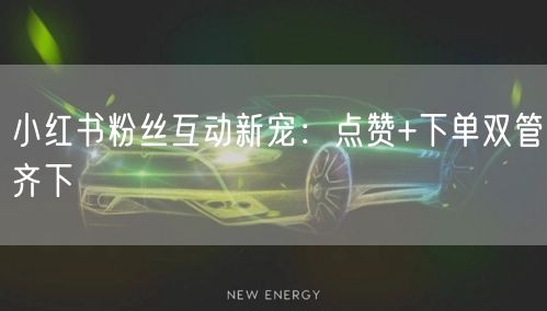 小红书粉丝互动新宠：点赞+下单双管齐下