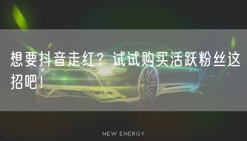 想要抖音走红？试试购买活跃粉丝这招吧！