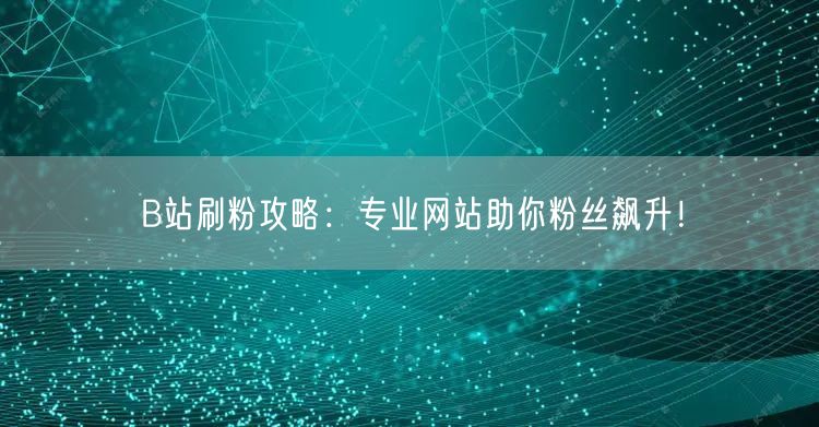 B站刷粉攻略：专业网站助你粉丝飙升！