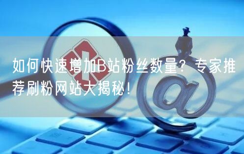 如何快速增加B站粉丝数量？专家推荐刷粉网站大揭秘！