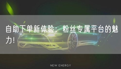 自助下单新体验：粉丝专属平台的魅力！