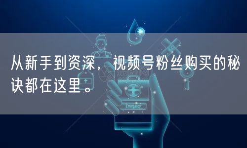 从新手到资深，视频号粉丝购买的秘诀都在这里。