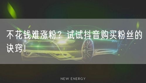 不花钱难涨粉？试试抖音购买粉丝的诀窍！