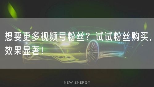 想要更多视频号粉丝？试试粉丝购买，效果显著！