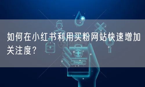 如何在小红书利用买粉网站快速增加关注度？