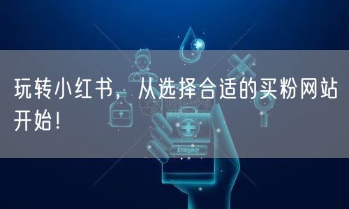 玩转小红书，从选择合适的买粉网站开始！