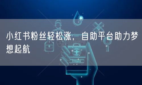 小红书粉丝轻松涨,自助平台助力梦想起航