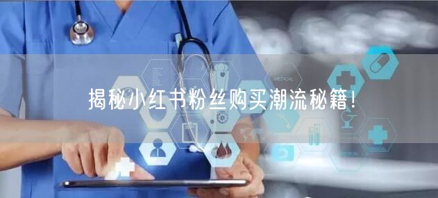 揭秘小红书粉丝购买潮流秘籍！