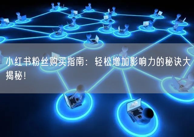 小红书粉丝购买指南：轻松增加影响力的秘诀大揭秘！