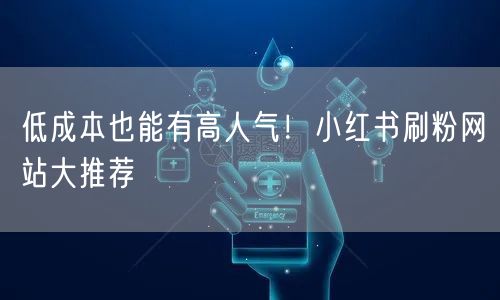 低成本也能有高人气！小红书刷粉网站大推荐