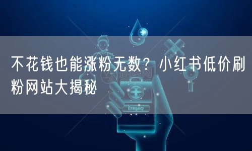 不花钱也能涨粉无数？小红书低价刷粉网站大揭秘