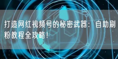 打造网红视频号的秘密武器：自助刷粉教程全攻略！