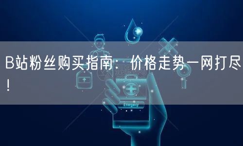 B站粉丝购买指南：价格走势一网打尽！