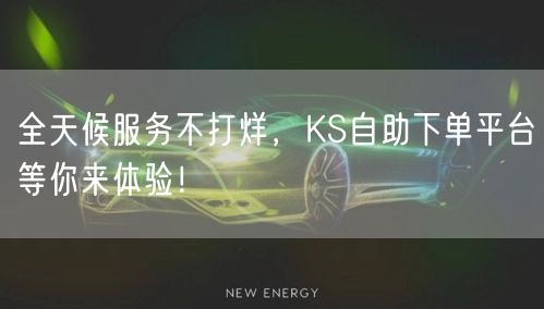 全天候服务不打烊，KS自助下单平台等你来体验！