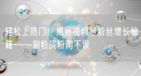 轻松上热门！揭秘视频号粉丝增长秘籍——刷粉买粉两不误