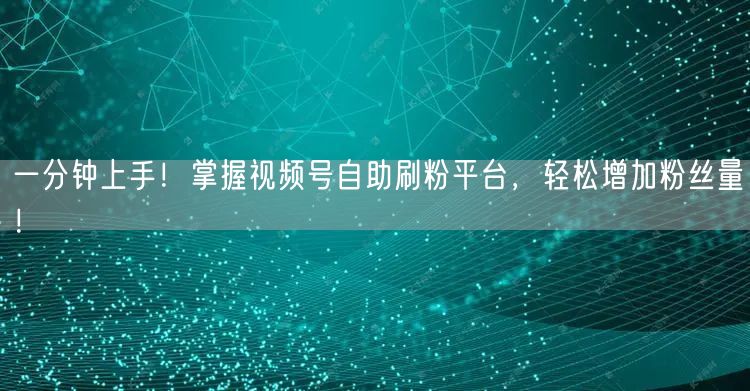一分钟上手！掌握视频号自助刷粉平台，轻松增加粉丝量！