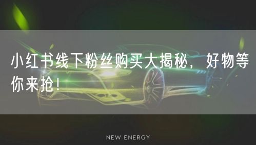 小红书线下粉丝购买大揭秘，好物等你来抢！