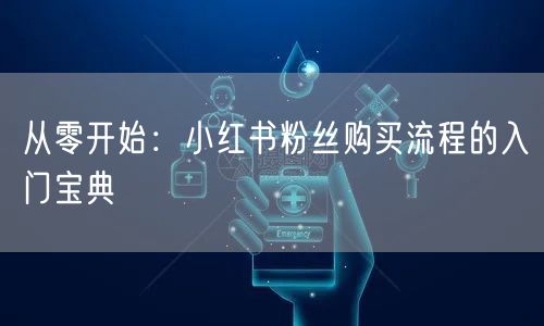 从零开始：小红书粉丝购买流程的入门宝典