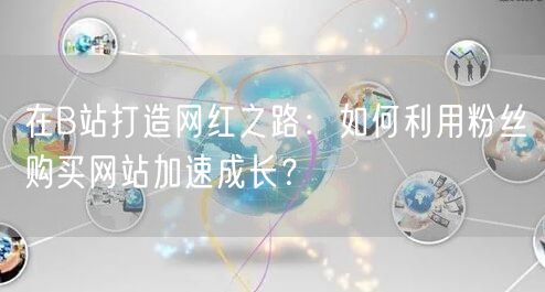 在B站打造网红之路：如何利用粉丝购买网站加速成长？