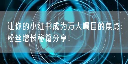 让你的小红书成为万人瞩目的焦点：粉丝增长秘籍分享！