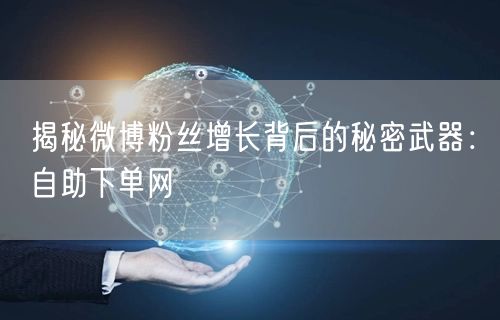 揭秘微博粉丝增长背后的秘密武器：自助下单网