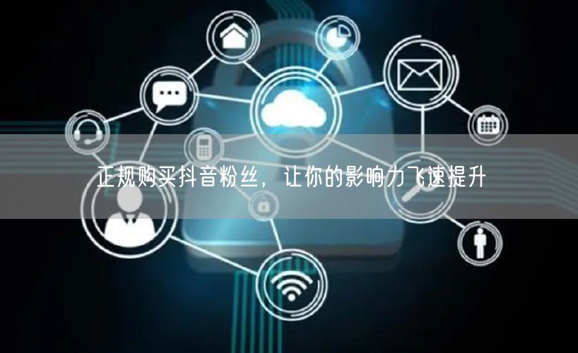 正规购买抖音粉丝，让你的影响力飞速提升