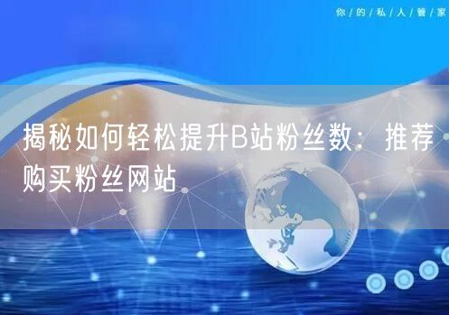 揭秘如何轻松提升B站粉丝数：推荐购买粉丝网站