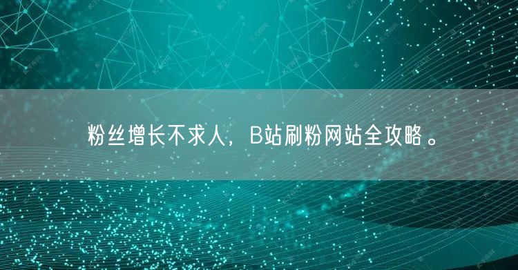 粉丝增长不求人,B站刷粉网站全攻略。