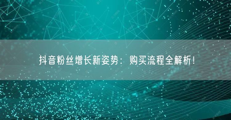 抖音粉丝增长新姿势：购买流程全解析！