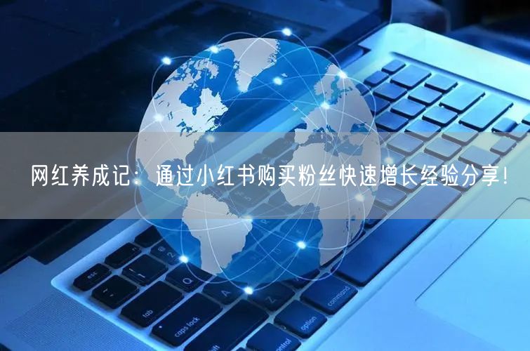 网红养成记：通过小红书购买粉丝快速增长经验分享！