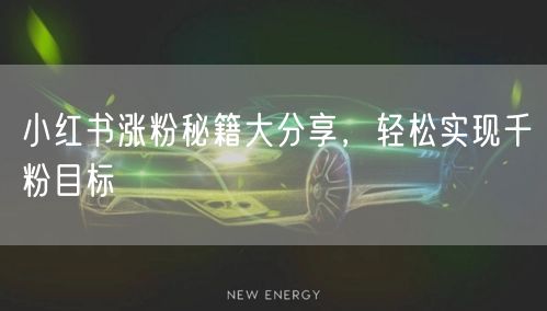 小红书涨粉秘籍大分享，轻松实现千粉目标