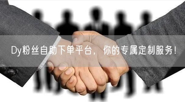 Dy粉丝自助下单平台,你的专属定制服务!