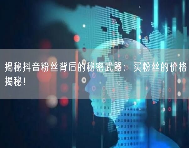 揭秘抖音粉丝背后的秘密武器:买粉丝的价格揭秘!