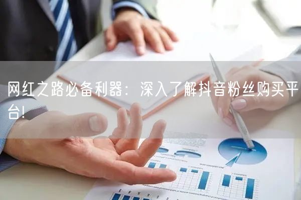 网红之路必备利器:深入了解抖音粉丝购买平台!