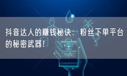 抖音达人的赚钱秘诀:粉丝下单平台的秘密武器!