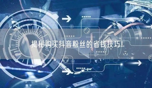 揭秘购买抖音粉丝的省钱技巧！
